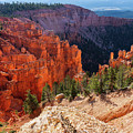View from Yovimpa Point, Bryce